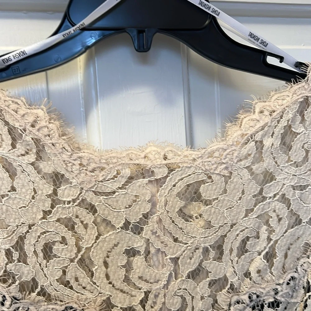 Tadashi Shoji lace cocktail dress - Picture 9 of 11